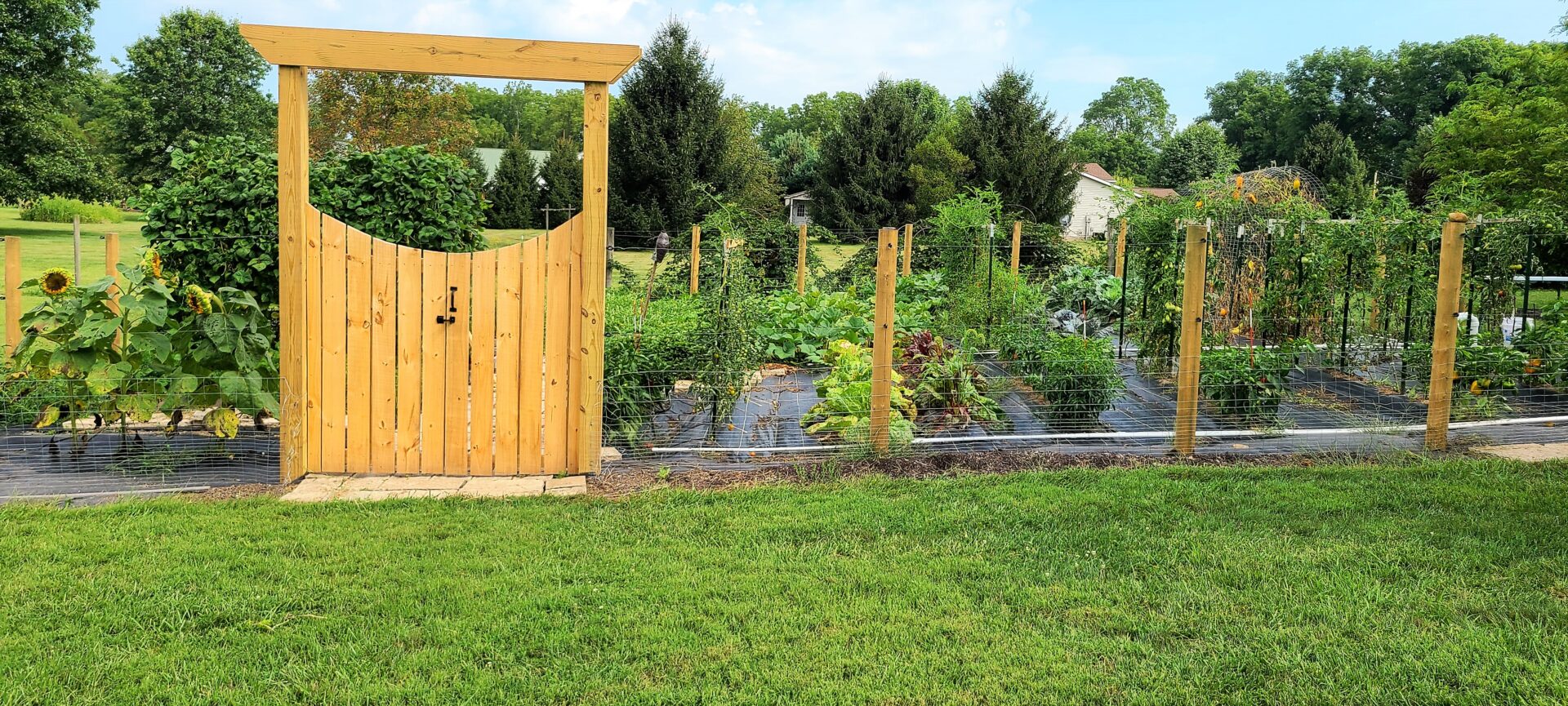 A gate leading into a large produce garden
